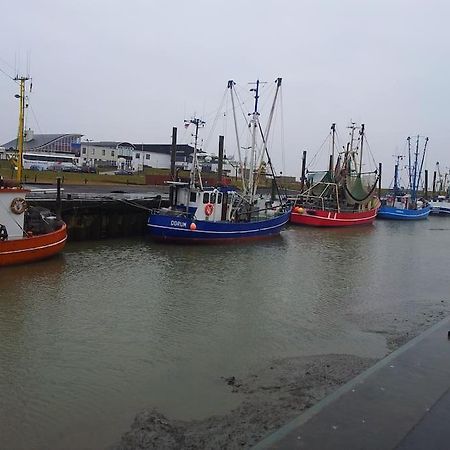 Nordsee Und Natur. Gemuetliche Fewo Mit Deichblick Dorumer Neufeld Dış mekan fotoğraf