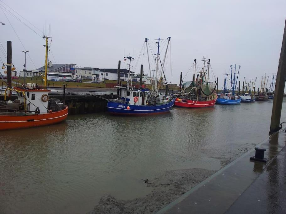 Nordsee Und Natur. Gemuetliche Fewo Mit Deichblick Dorumer Neufeld Dış mekan fotoğraf